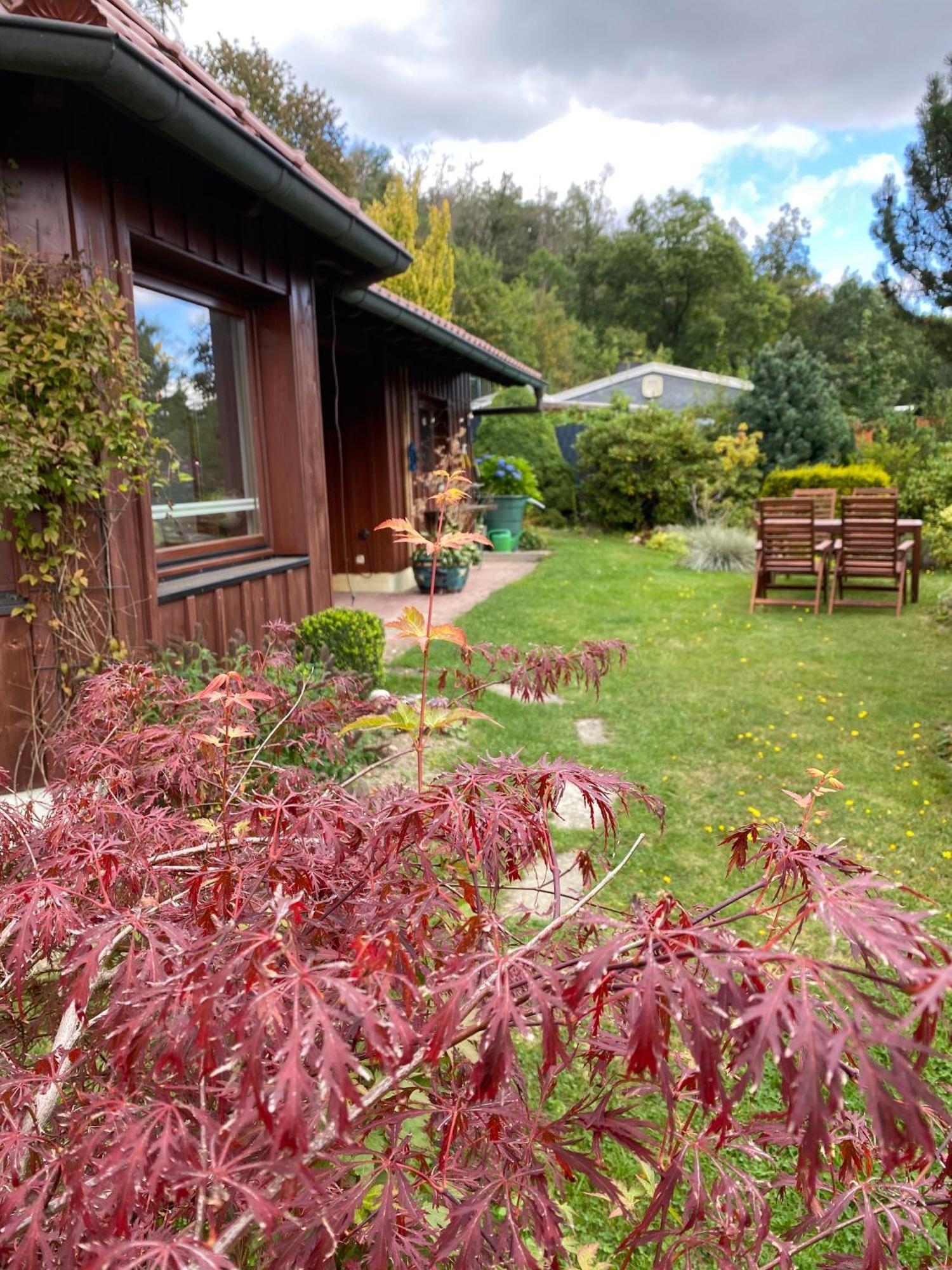 Ferienhaus Im Harz, Direkt Am Wald, Terrasse&Garten, Grill, Ruhige Lage, Wlan, Wandern, Villa Wienrode Exterior photo